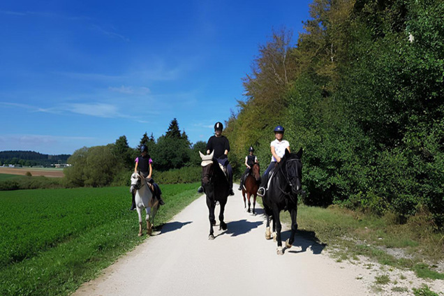 Pferdeparadies Haug