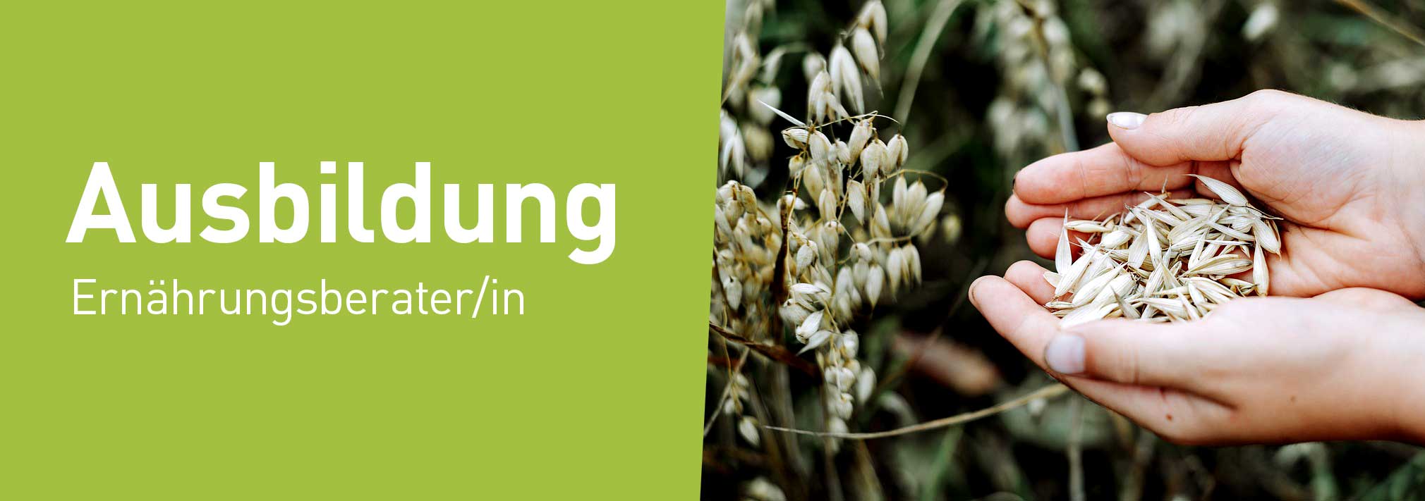 VETogether Ausbildung Ernährungsberater/in