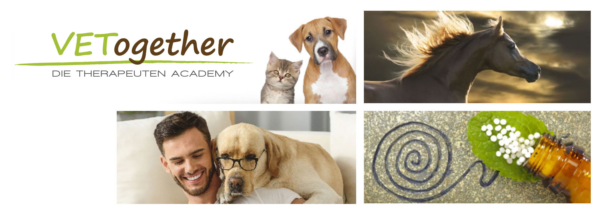 Übersicht VETogether - Die Therapeuten Academy